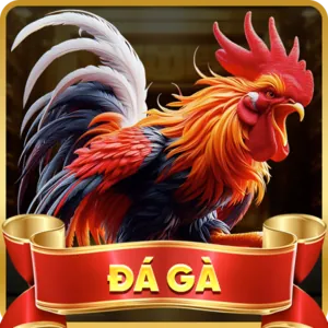 Khuyến mãi nạp lại hàng ngày z88 bet